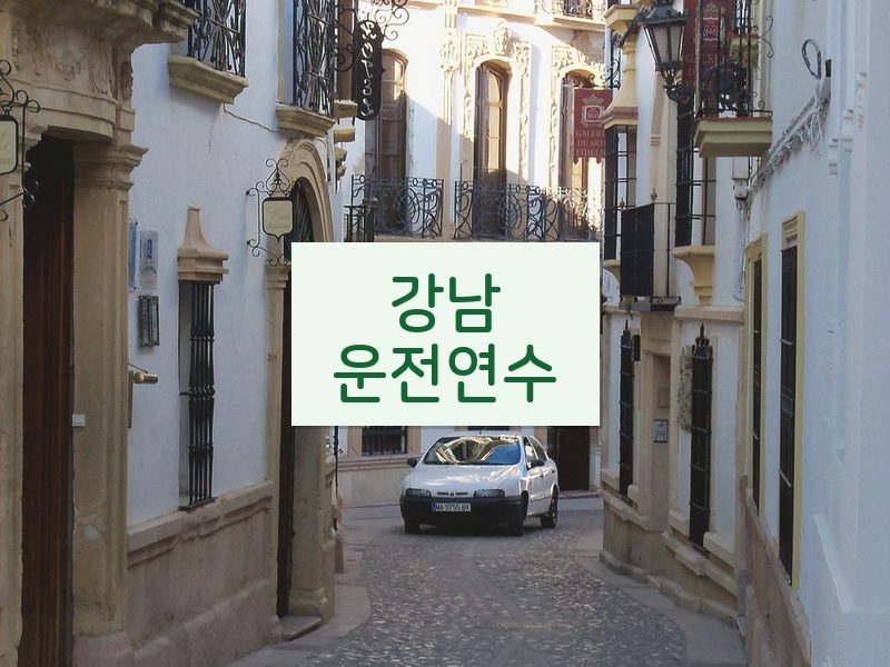 강남운전연수 후기