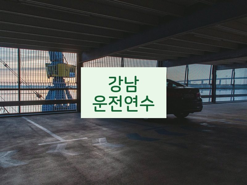 강남운전연수 후기