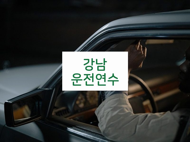 강남운전연수 후기