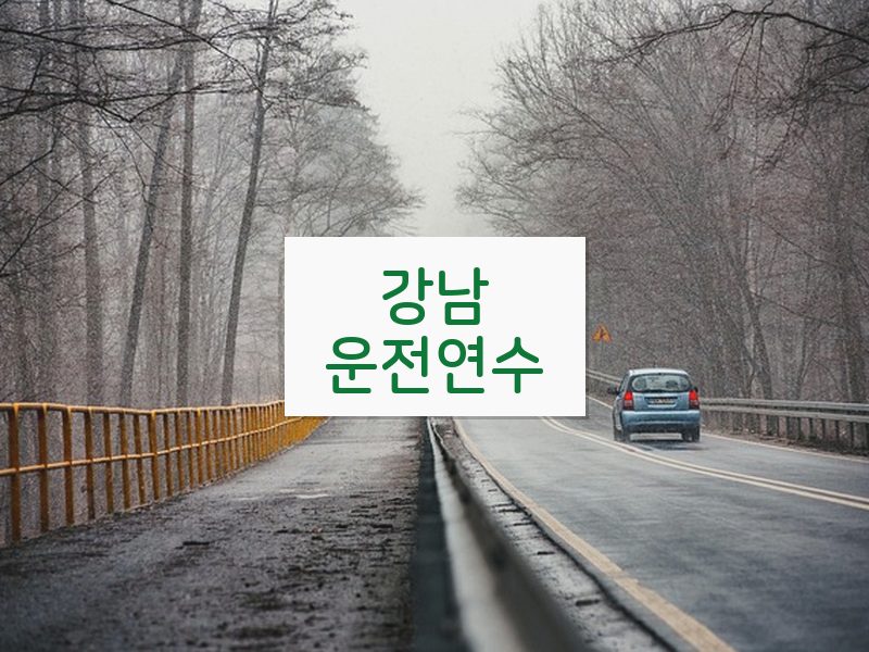강남운전연수 후기