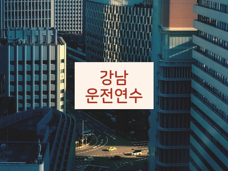 강남운전연수 후기