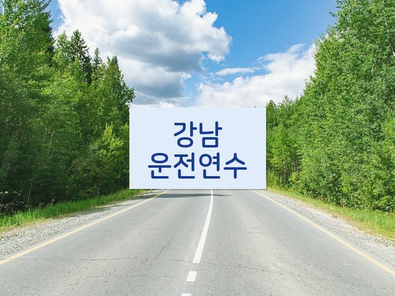 강남운전연수 후기