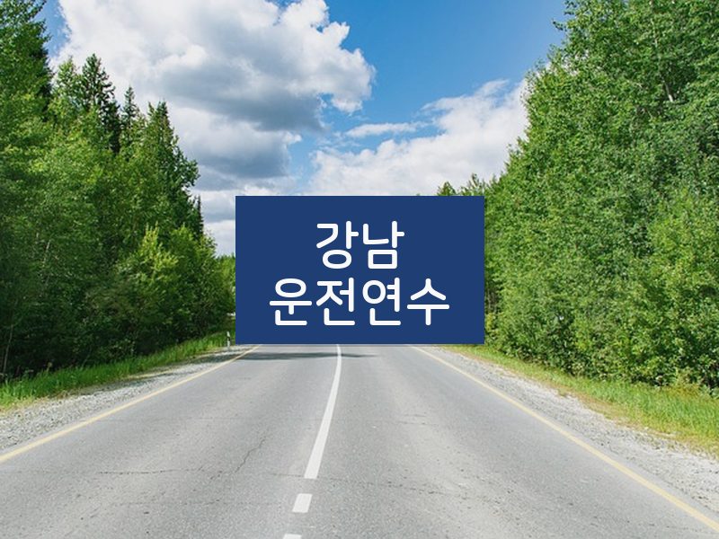 강남운전연수 후기