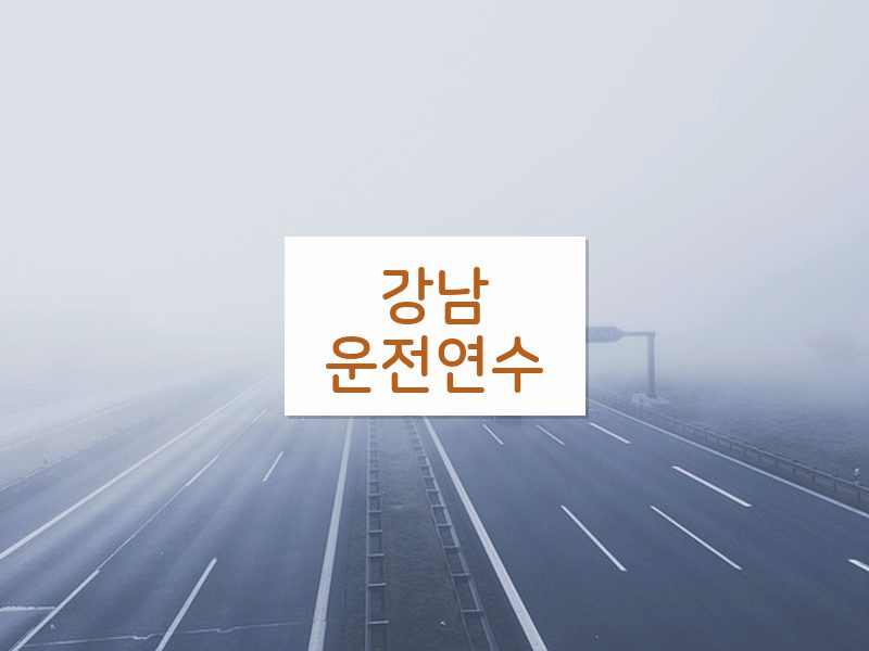 강남운전연수 후기