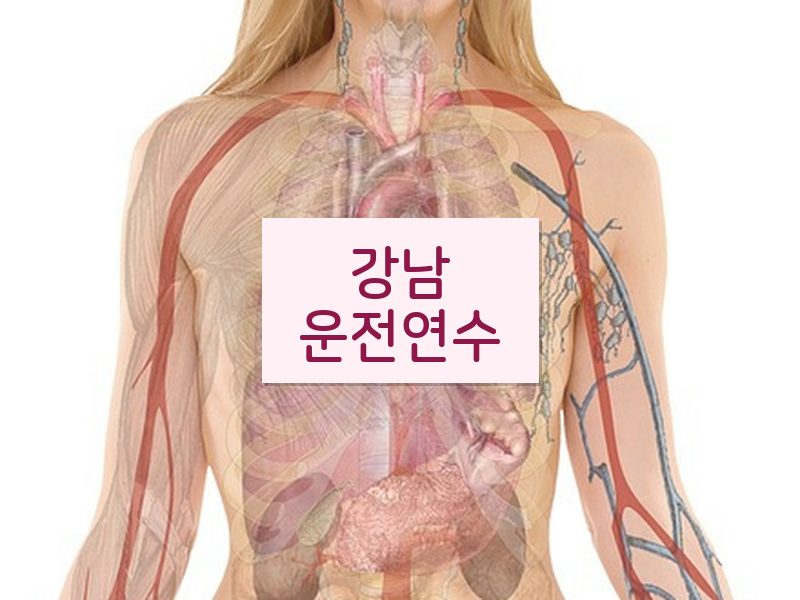 강남운전연수 후기