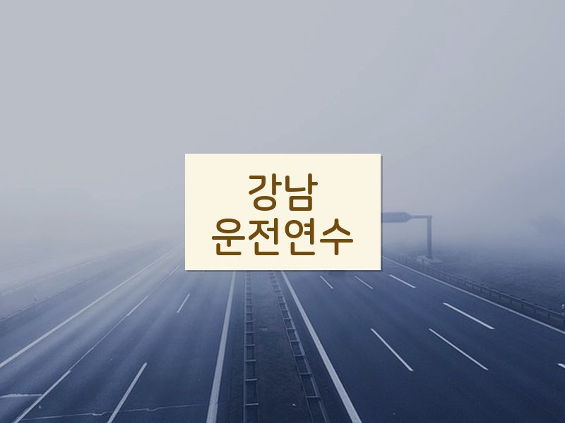 강남운전연수 후기