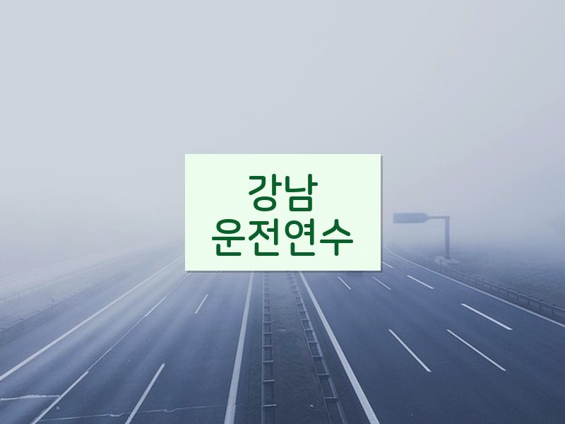 강남운전연수 후기