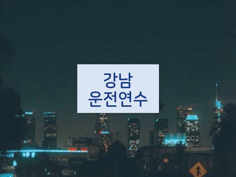 강남운전연수 후기
