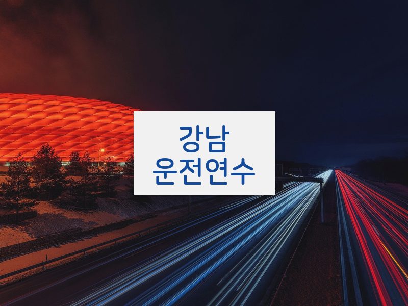 강남운전연수 후기