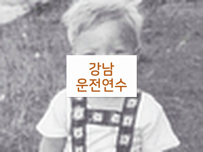 강남운전연수 후기