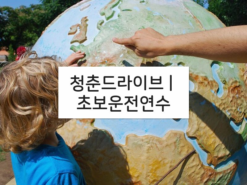 청춘드라이브 | 초보운전연수 후기