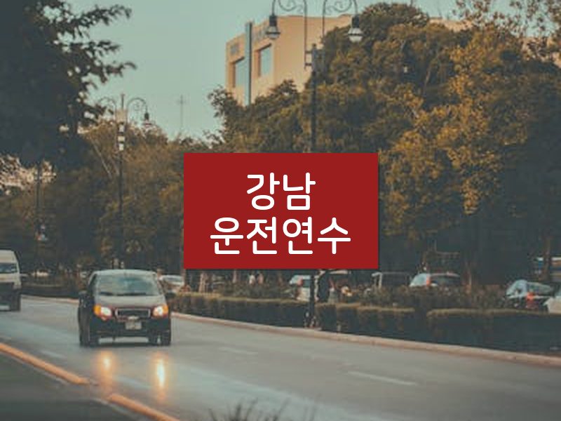 강남운전연수 후기