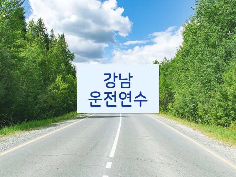 강남운전연수 후기