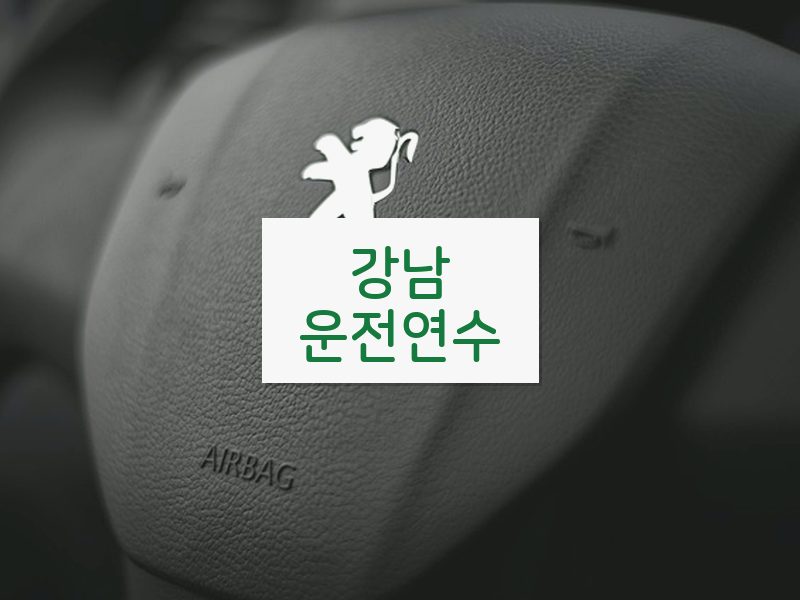 강남운전연수 후기