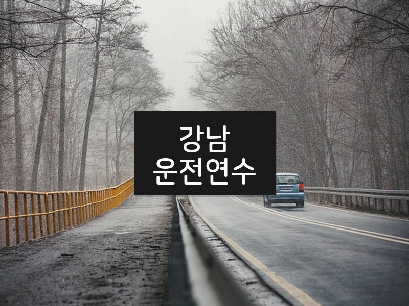 강남운전연수 후기