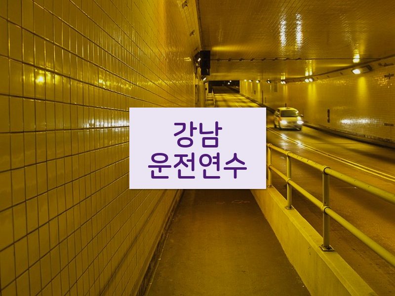 강남운전연수 후기