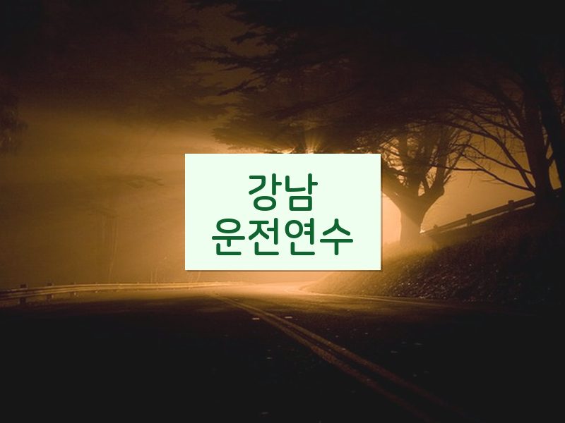 강남운전연수 후기