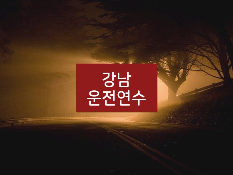 강남운전연수 후기