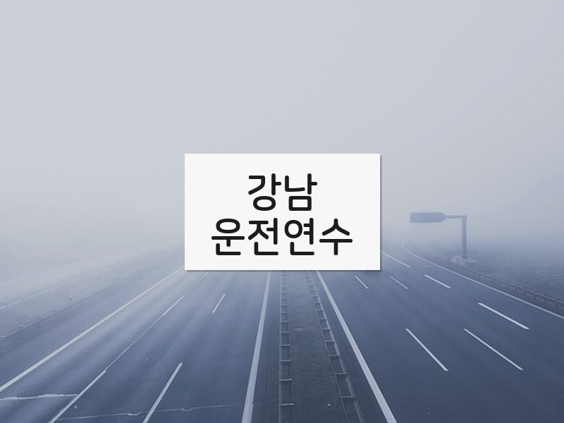 강남운전연수 후기