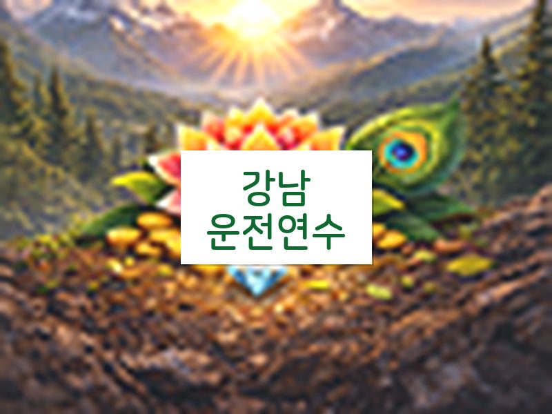 강남운전연수 후기