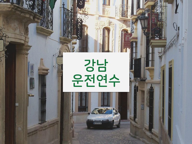 강남운전연수 후기