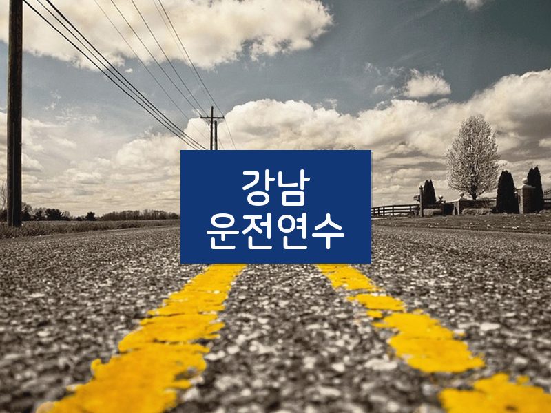 강남운전연수 후기