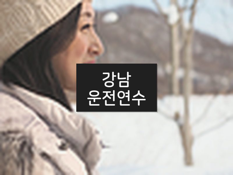 강남운전연수 후기