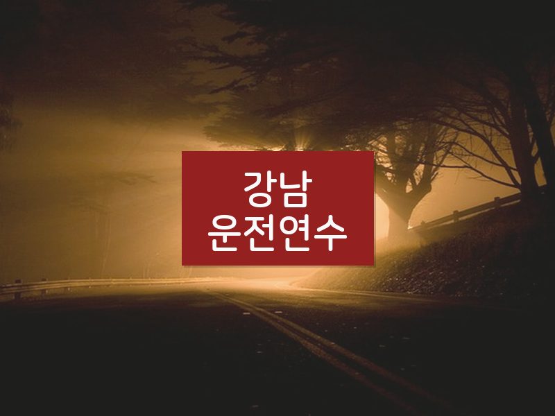 강남운전연수 후기