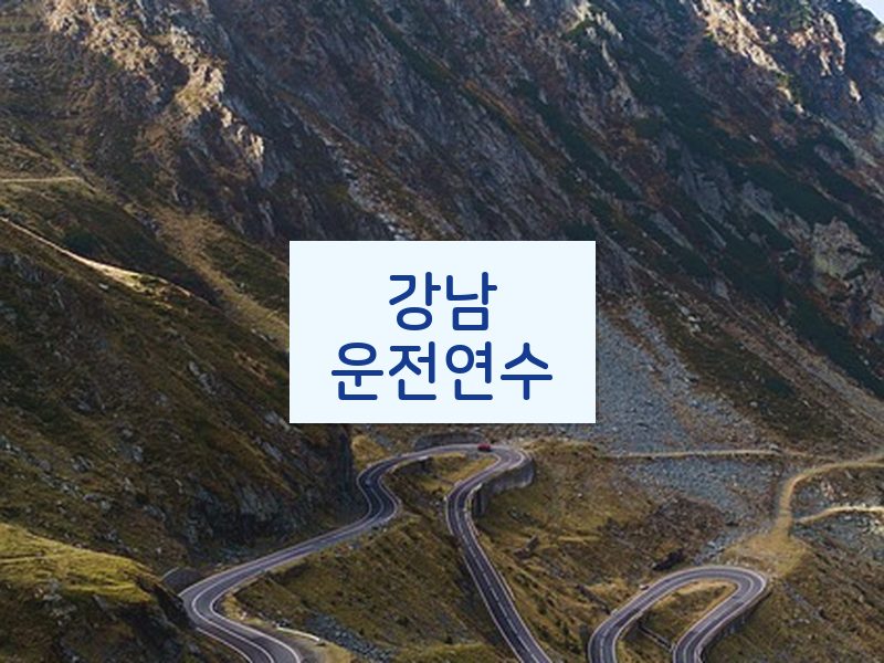 강남운전연수 후기