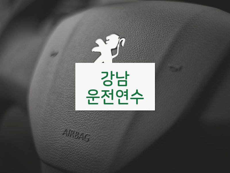 강남운전연수 후기