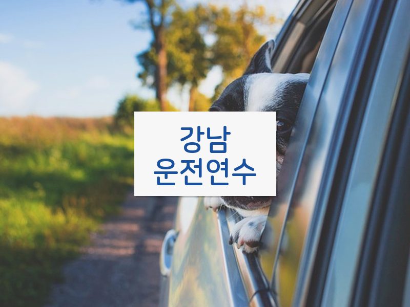 강남운전연수 후기