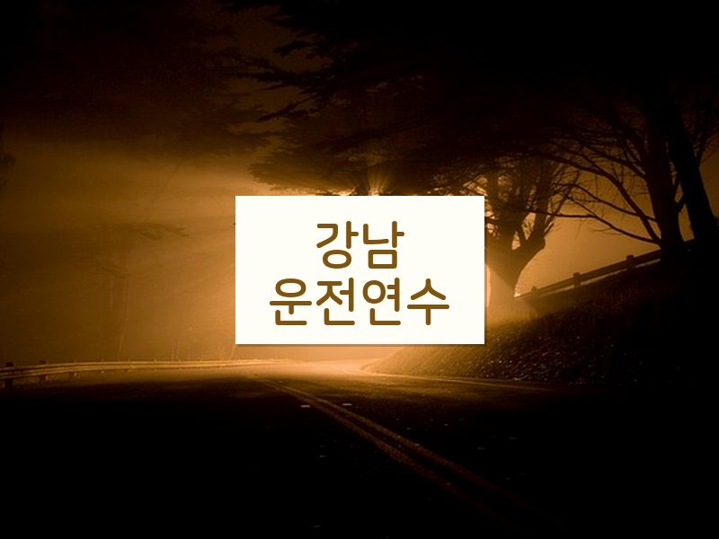 강남운전연수 후기
