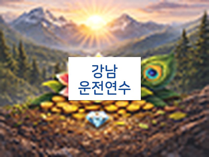 강남운전연수 후기