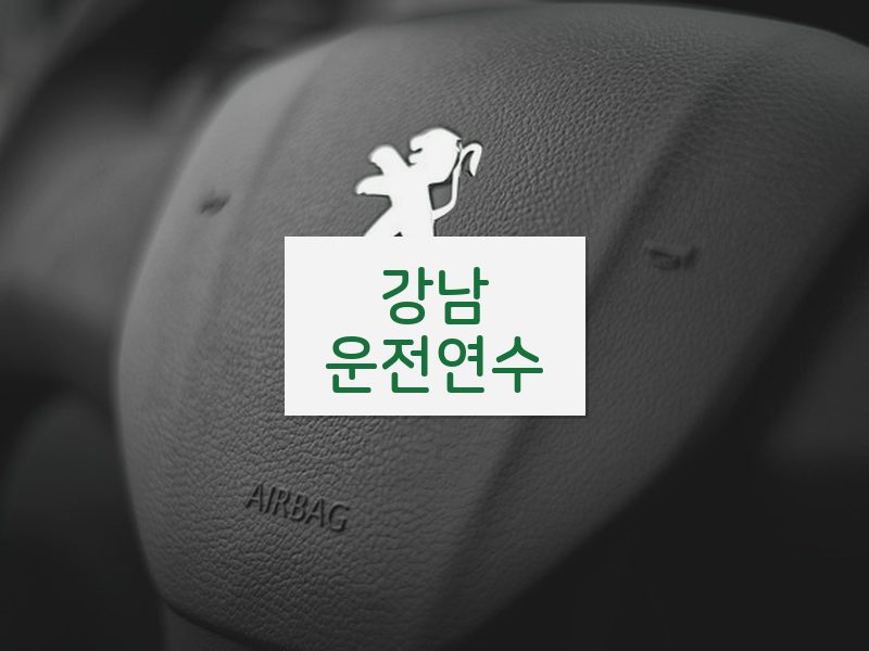 강남운전연수 후기
