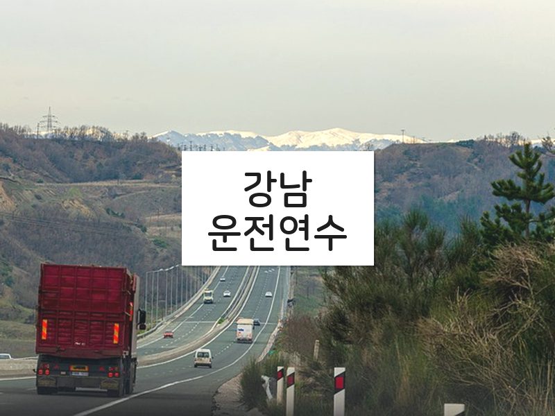 강남운전연수 후기