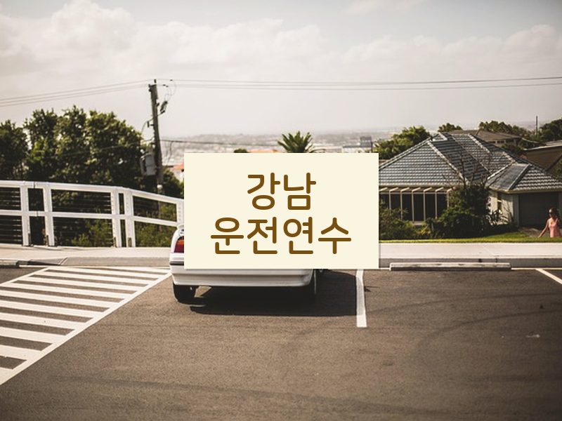 강남운전연수 후기