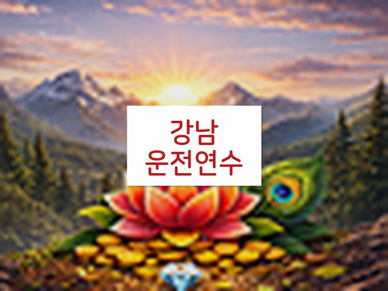 강남운전연수 후기