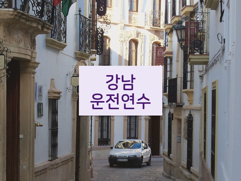 강남운전연수 후기