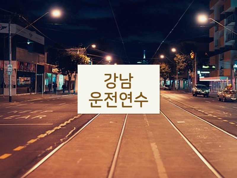 강남운전연수 후기