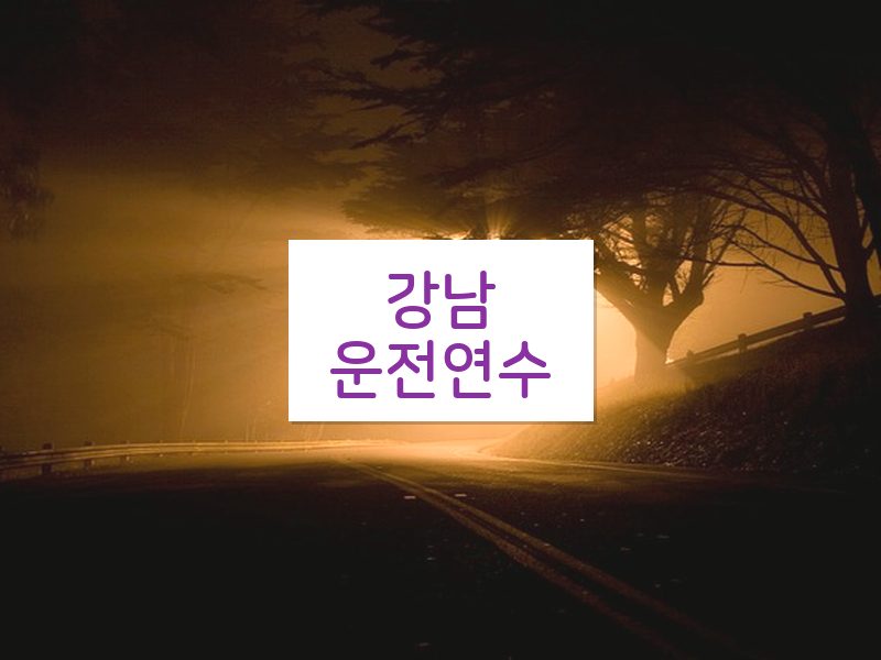 강남운전연수 후기