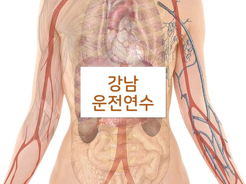 강남운전연수 후기