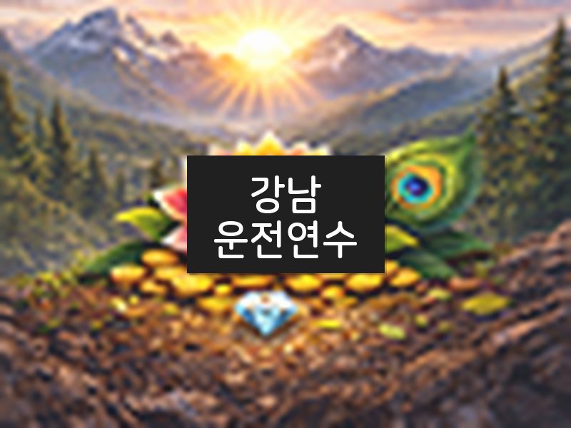 강남운전연수 후기