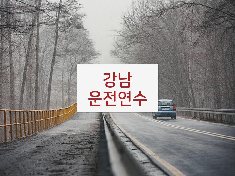 강남운전연수 후기