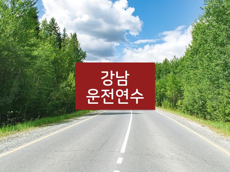 강남운전연수 후기