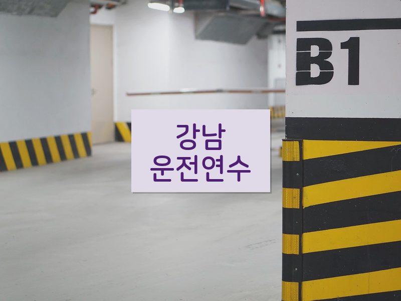 강남운전연수 후기