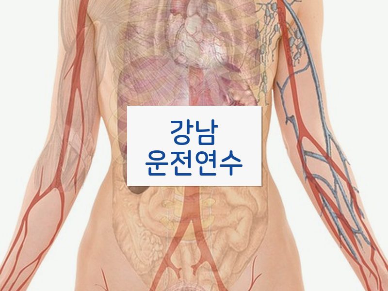 강남운전연수 후기