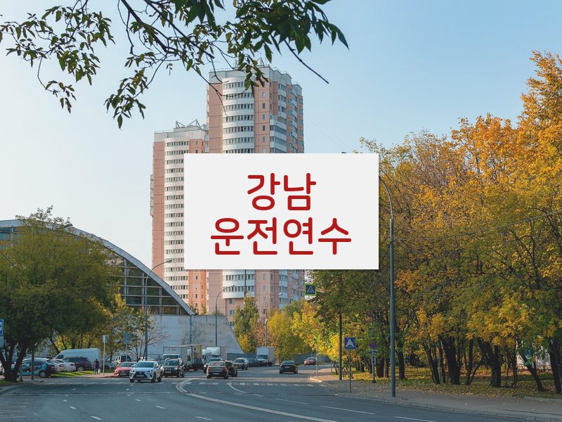 강남운전연수 후기