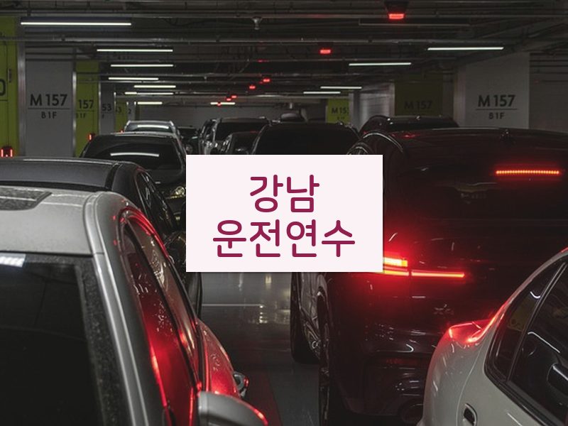 강남운전연수 후기