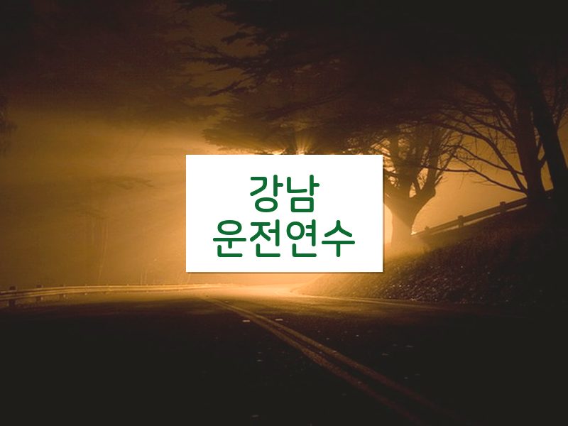 강남운전연수 후기