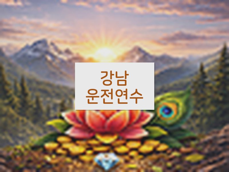 강남운전연수 후기